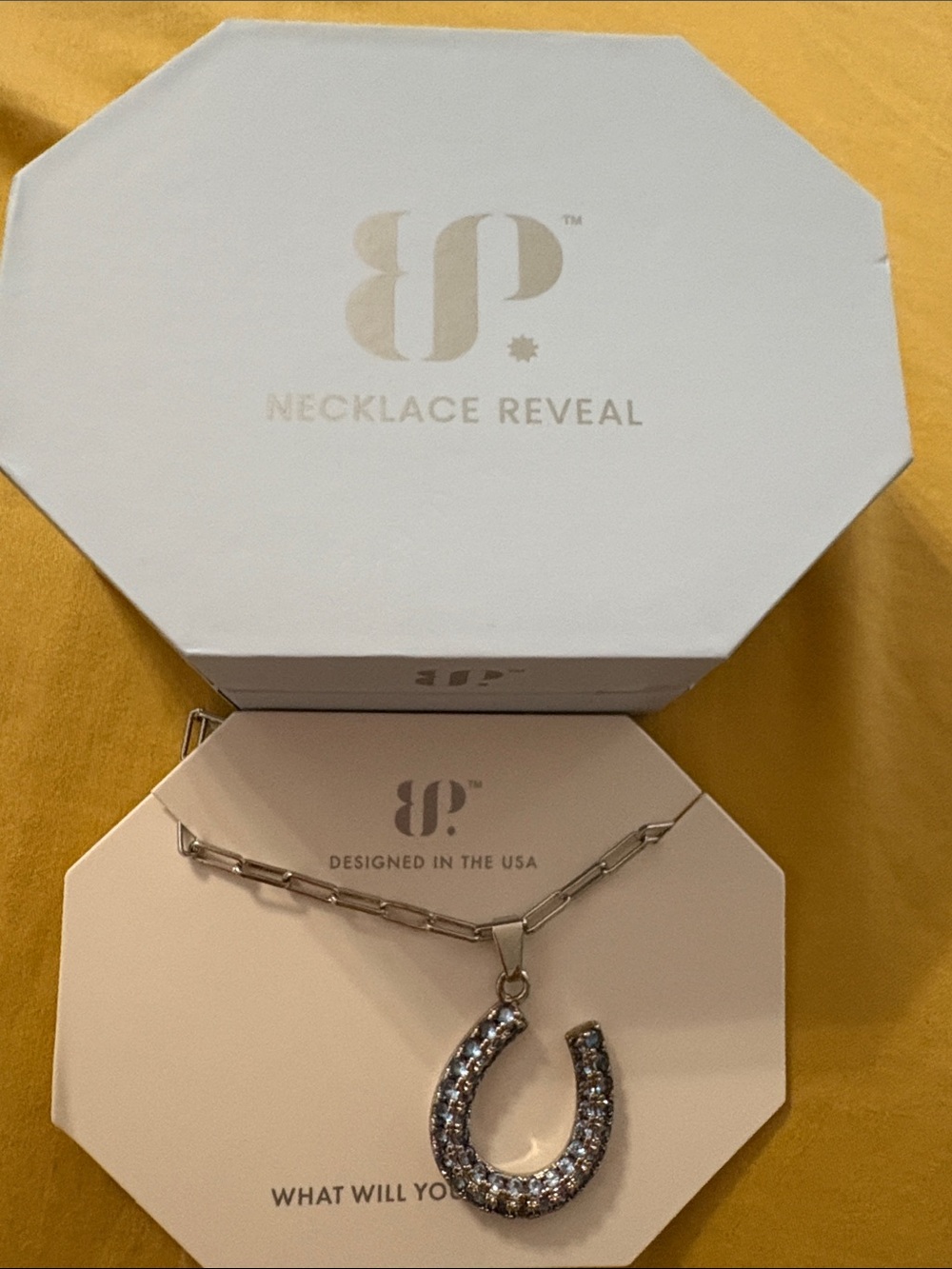 Necklace Reveal Silver Crystal Horseshoe Necklace